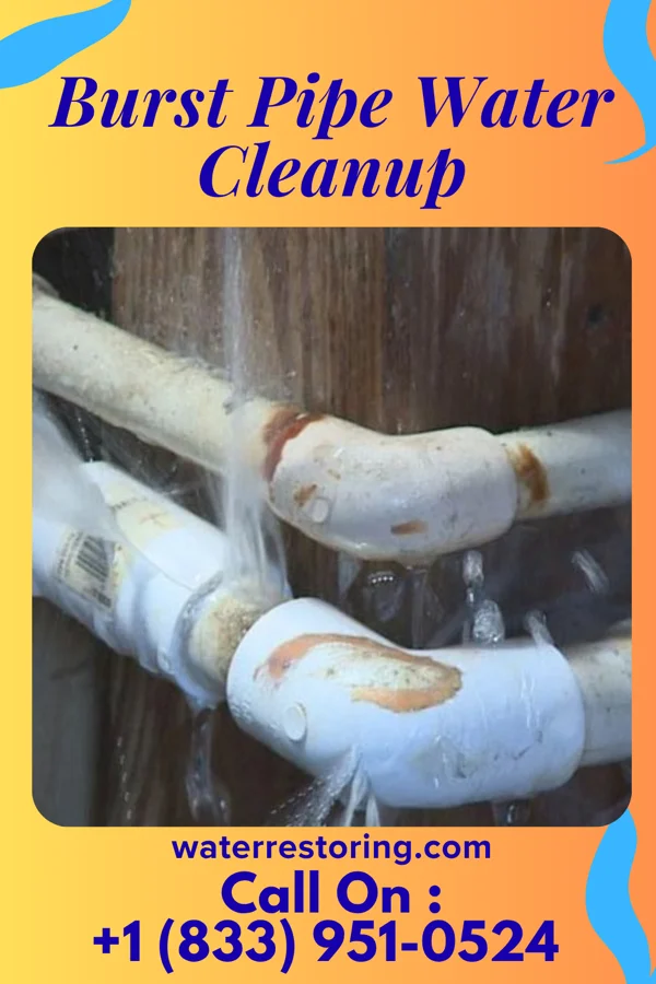 Burst Pipe Water Cleanup in Mayfield, KY