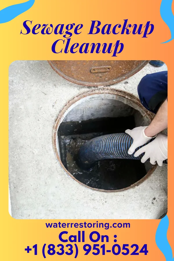 Sewage Backup Cleanup in Mayfield, KY