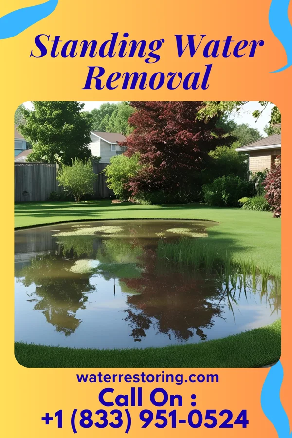 Standing Water Removal in Mayfield, KY
